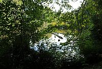 IMG 1217