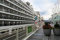 IMG 1365