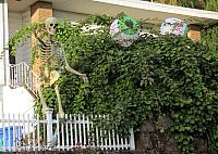 IMG 1471