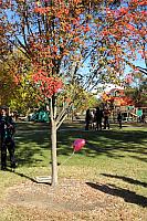 IMG 1571