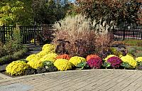 IMG 1578