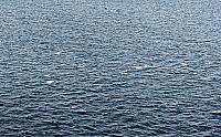 IMG 1671