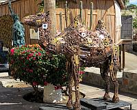 IMG 1732