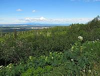 IMG 2619