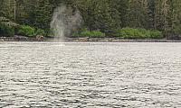 IMG 2269