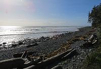 IMG 3049