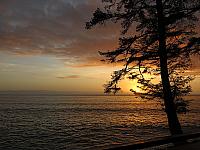 IMG 3062