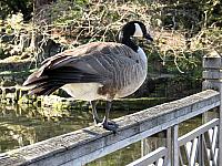 IMG 3180