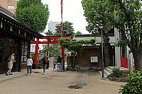 IMG 3534