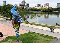 IMG 3569