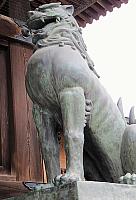 IMG 3599