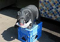 IMG 4028