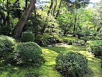 IMG 3723