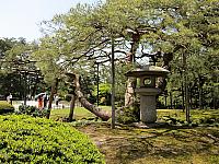 IMG 3740