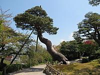 IMG 3743