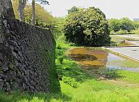 IMG 3783