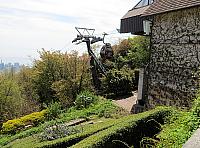 IMG 3393