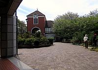 IMG 3406