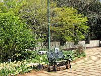 IMG 3411