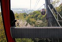 IMG 3418