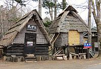 IMG 4159