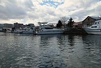 IMG 3950