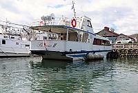 IMG 3952