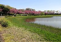 IMG 3813