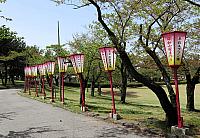 IMG 3865