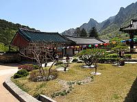 IMG 3659