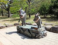 IMG 3682
