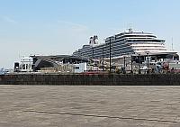 IMG 4051