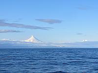 IMG 4223