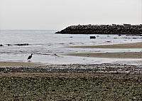 IMG 7099