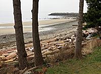 IMG 7102