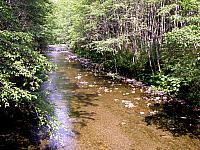 Alaska2005B 086