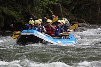 IMG 7224