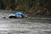 IMG 7642